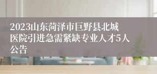 2023山东菏泽市巨野县北城医院引进急需紧缺专业人才5人公告