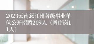 2023云南怒江州各级事业单位公开招聘209人（医疗岗11人）