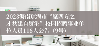 2023海南琼海市“聚四方之才共建自贸港”校园招聘事业单位人员116人公告（9号）