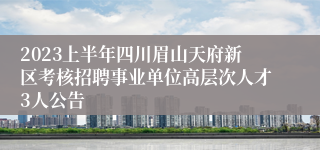 2023上半年四川眉山天府新区考核招聘事业单位高层次人才3人公告