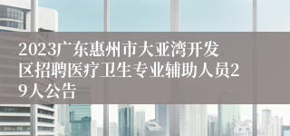 2023广东惠州市大亚湾开发区招聘医疗卫生专业辅助人员29人公告