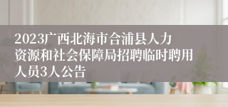 2023广西北海市合浦县人力资源和社会保障局招聘临时聘用人员3人公告