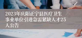 2023年庆阳正宁县医疗卫生事业单位引进急需紧缺人才25人公告