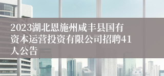 2023湖北恩施州咸丰县国有资本运营投资有限公司招聘41人公告