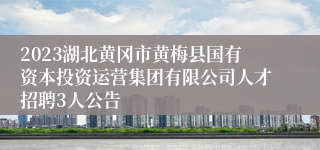 2023湖北黄冈市黄梅县国有资本投资运营集团有限公司人才招聘3人公告