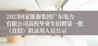 2023国家能源集团广东电力有限公司高校毕业生招聘第一批（直招）拟录用人员公示