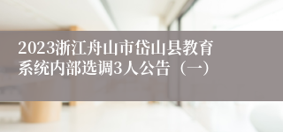 2023浙江舟山市岱山县教育系统内部选调3人公告（一）