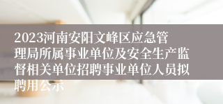 2023河南安阳文峰区应急管理局所属事业单位及安全生产监督相关单位招聘事业单位人员拟聘用公示