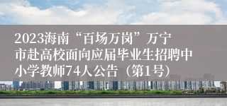 2023海南“百场万岗”万宁市赴高校面向应届毕业生招聘中小学教师74人公告（第1号）