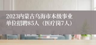 2023内蒙古乌海市本级事业单位招聘85人（医疗岗7人）