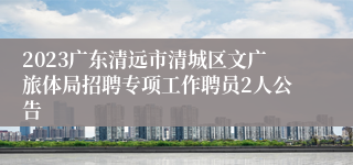 2023广东清远市清城区文广旅体局招聘专项工作聘员2人公告