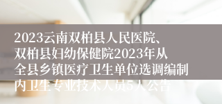 2023云南双柏县人民医院、双柏县妇幼保健院2023年从全县乡镇医疗卫生单位选调编制内卫生专业技术人员5人公告