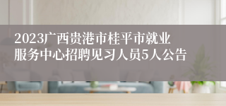 2023广西贵港市桂平市就业服务中心招聘见习人员5人公告