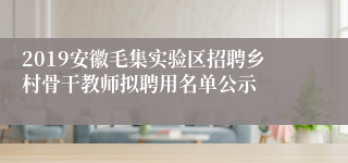 2019安徽毛集实验区招聘乡村骨干教师拟聘用名单公示