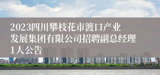 2023四川攀枝花市渡口产业发展集团有限公司招聘副总经理1人公告