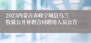 2023内蒙古赤峰宁城县乌兰牧骑公开补聘合同聘用人员公告 