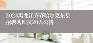 2023黑龙江齐齐哈尔克东县招聘助理员20人公告