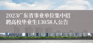 2023广东省事业单位集中招聘高校毕业生13058人公告