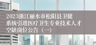 2023浙江丽水市松阳县卫健系统引进医疗卫生专业技术人才空缺岗位公告（一）