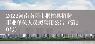 2022河南南阳市桐柏县招聘事业单位人员拟聘用公告（第10号）