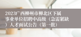 2023广西柳州市柳北区下属事业单位招聘中高级（急需紧缺）人才面试公告（第一批）