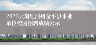 2023云南红河州金平县事业单位校园招聘成绩公示