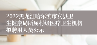 2022黑龙江哈尔滨市宾县卫生健康局所属村级医疗卫生机构拟聘用人员公示