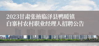 2023甘肃张掖临泽县鸭暖镇白寨村农村职业经理人招聘公告