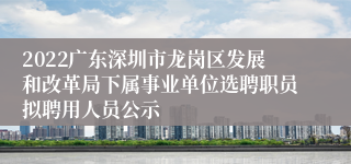 2022广东深圳市龙岗区发展和改革局下属事业单位选聘职员拟聘用人员公示