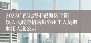 2023广西北海市银海区平阳镇人民政府招聘编外用工人员拟聘用人选公示