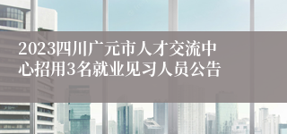 2023四川广元市人才交流中心招用3名就业见习人员公告