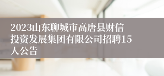 2023山东聊城市高唐县财信投资发展集团有限公司招聘15人公告