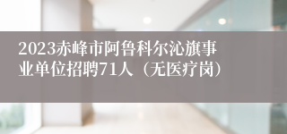 2023赤峰市阿鲁科尔沁旗事业单位招聘71人（无医疗岗）