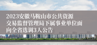 2023安徽马鞍山市公共资源交易监督管理局下属事业单位面向全省选调3人公告