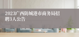 2023广西防城港市商务局招聘3人公告