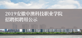 2019安徽中澳科技职业学院招聘拟聘用公示