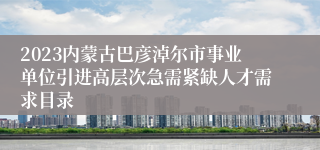 2023内蒙古巴彦淖尔市事业单位引进高层次急需紧缺人才需求目录