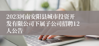 2023河南安阳县城市投资开发有限公司下属子公司招聘12人公告