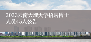 2023云南大理大学招聘博士人员45人公告