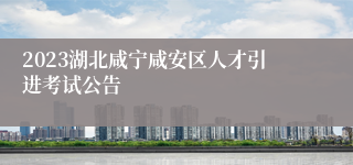 2023湖北咸宁咸安区人才引进考试公告