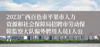 2023广西百色市平果市人力资源和社会保障局招聘市劳动保障监察大队编外聘用人员1人公告