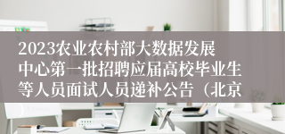 2023农业农村部大数据发展中心第一批招聘应届高校毕业生等人员面试人员递补公告（北京）