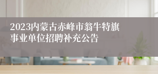 2023内蒙古赤峰市翁牛特旗事业单位招聘补充公告