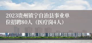 2023贵州镇宁自治县事业单位招聘80人（医疗岗4人）