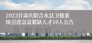 2023甘肃庆阳合水县卫健系统引进急需紧缺人才10人公告