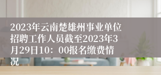 2023年云南楚雄州事业单位招聘工作人员截至2023年3月29日10：00报名缴费情况