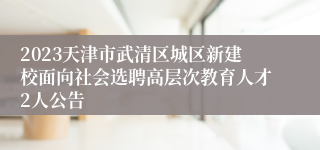 2023天津市武清区城区新建校面向社会选聘高层次教育人才2人公告