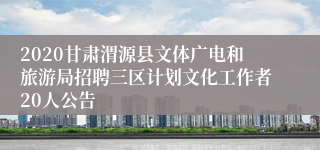 2020甘肃渭源县文体广电和旅游局招聘三区计划文化工作者20人公告