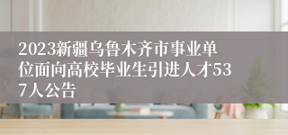 2023新疆乌鲁木齐市事业单位面向高校毕业生引进人才537人公告