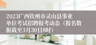 2023广西钦州市灵山县事业单位考试招聘报考动态（报名数据截至3月30日8时）